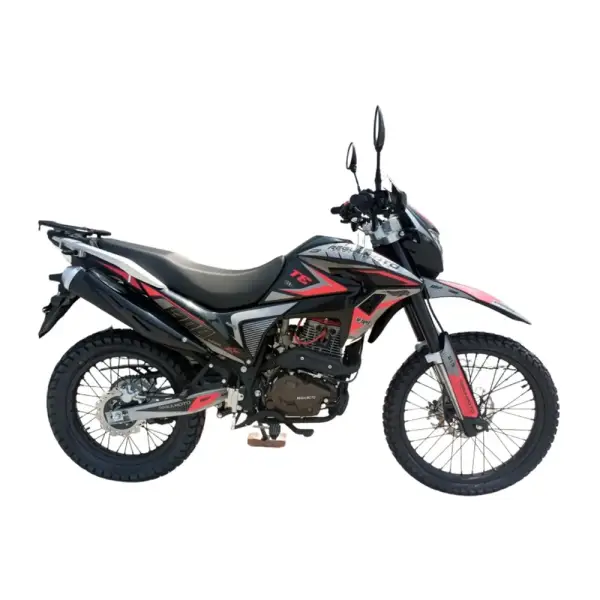 RegulMoto TE 4 valve oil